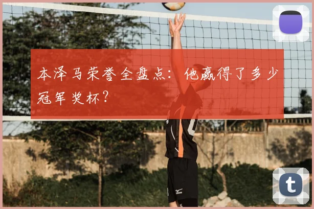 本泽马荣誉全盘点:他赢得了多少冠军奖杯?