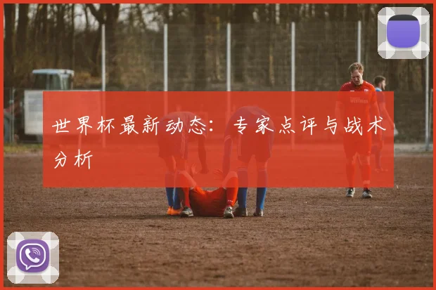 世界杯最新动态：专家点评与战术分析